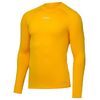 Джемпер компрессионный утепленный CAMP PerFormDRY Baselayer Top Warm