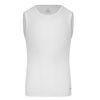 Майка компрессионная CAMP PerFormDRY Baselayer SL Tee